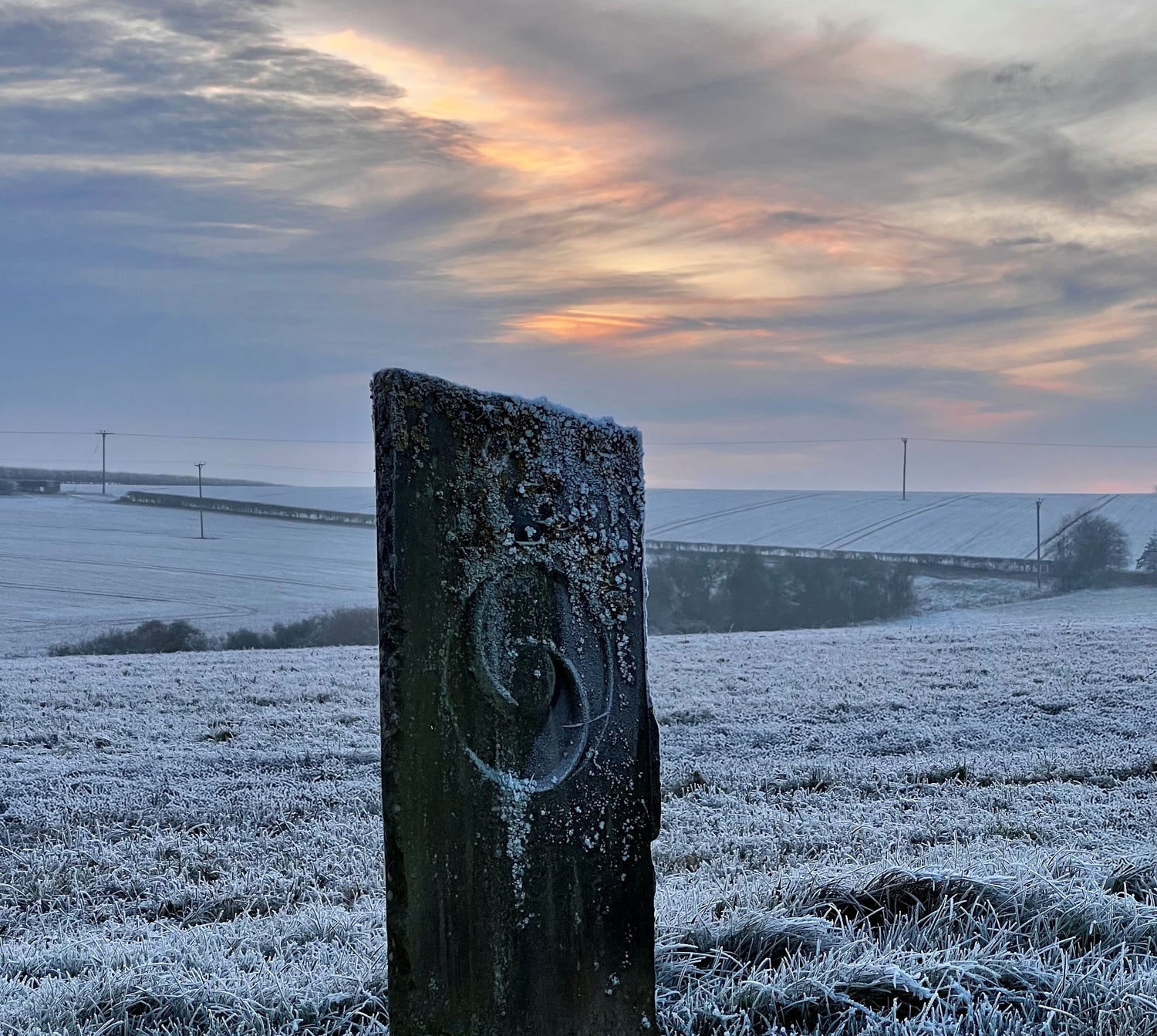 SHIRE FARM’S CHAKRA PATH